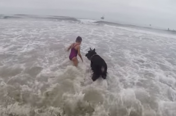 波打ち際で遊ぶ少女と犬。はしゃぐ女の子のそばを離れず見守る犬の姿が頼もしい！