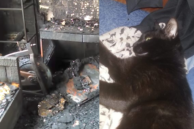 火事から家族全員を救った黒猫。ネコが家族を救うためにとった行動と、その後とは。