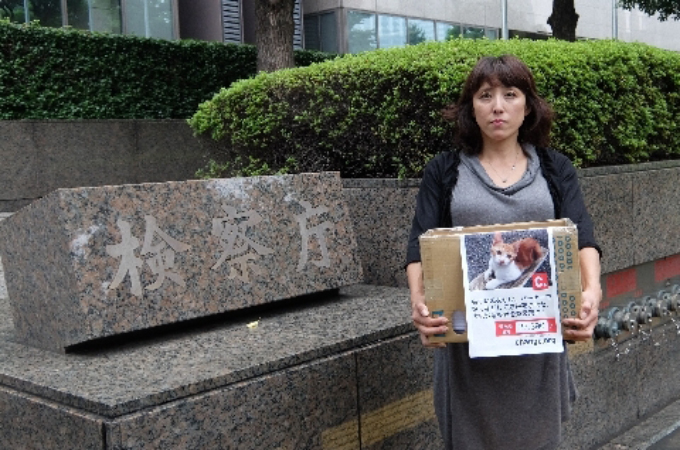 バーナーなどで猫をこれまでに13匹殺した税理士に「実刑」を求めるため著名を集めた女性。東京地検に3万7千筆の著名を提出。