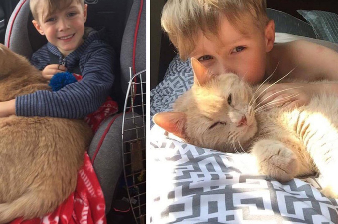 「動物保護施設から動物を引き取って飼おう」と決めた家族。そして少年が選んだ猫とその後の生活に心が和む。
