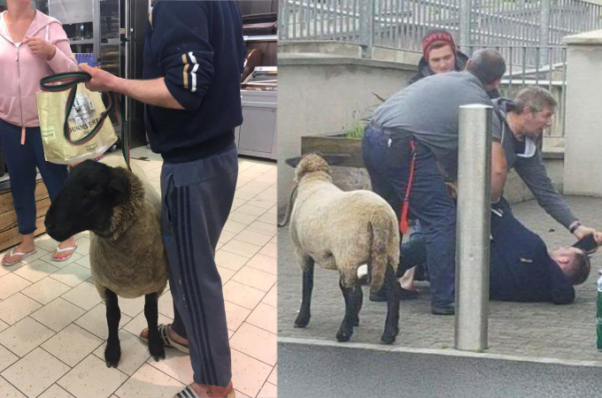 スーパーにペットである羊を連れて入店した男性。スタッフに入店拒否されると、激怒し警察を巻き込む騒動に発展する。