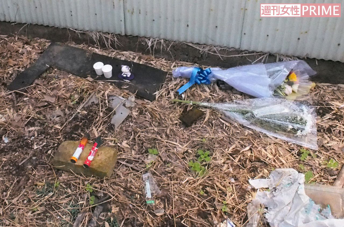 ＜埼玉・深谷市＞猫虐待殺傷の一部始終を動画撮影した、鬼畜男の正体