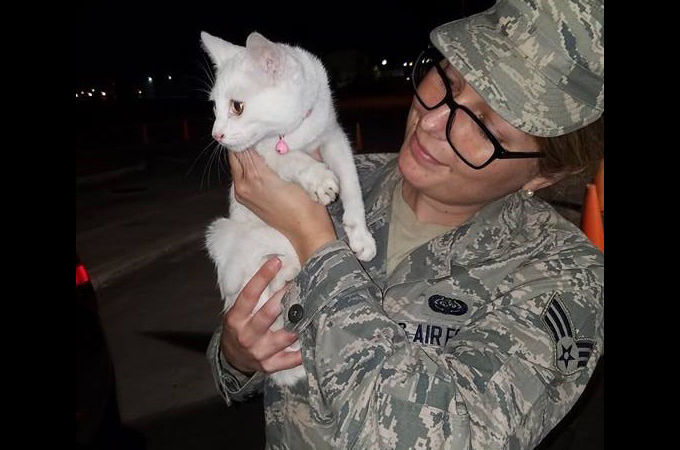 空軍基地に現れた1匹の迷子猫を保護した女性。飼い主がいることを信じSNSに投稿した、そのわずか3時間後に起こった奇跡とは。