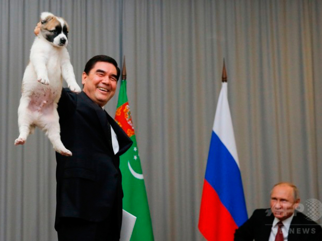 プーチン大統領が犬を贈呈される時の犬を扱う様子が酷すぎると話題に！7枚