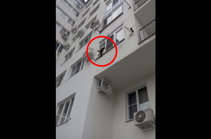 マンションの3階から落ちそうな猫を発見した男性。とっさの判断で猫を救った男性の行動とは。