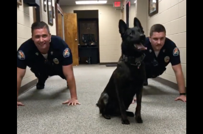警察官と一緒に、息ぴったりな腕立て伏せをする警察犬。そのたくましい様子に多くのコメントが寄せられる！