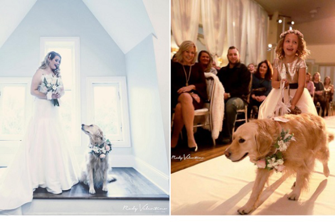 愛犬に結婚式に参列してもらい、幸せいっぱいの花嫁。「美しい写真」など多くの称賛の声が上がる。