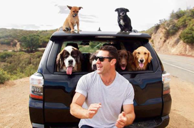 6匹の保護した犬と旅をする男性。そこに秘められた思いと、彼の夢とは。