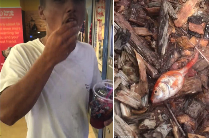 ペットショップで売っている金魚を食べ吐き出した男。その様子を配信し、ネットでは大炎上。多くの批難が寄せられる。