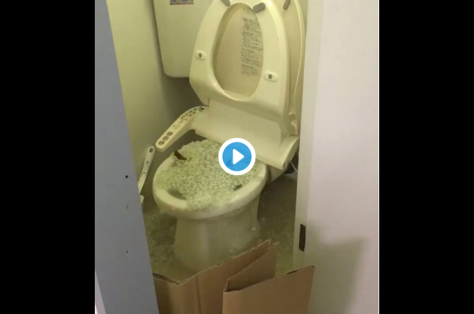 「絶対に猫砂をトイレに流さないで！！」猫砂の間違った処理方法で大混乱になる様子がTwitterで話題に。