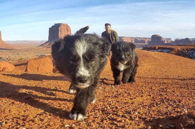 砂漠のど真ん中にいる迷子の子犬2匹を発見した男性。迷うことなく里親となり、その後、旅をしながら成長する。