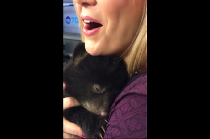【動画】誰もが胸キュンするクマの寝言がこちら！！