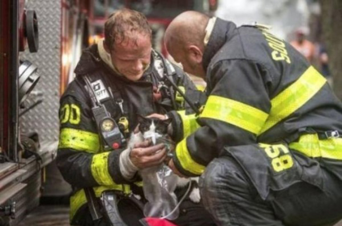 危険と隣り合わせでも、小さな命を見捨てることなく救助にあたる消防士たちの勇姿15枚。