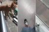 地下鉄の駅のビルから子猫を笑いながら落とし、死亡させた学生4人。あまりにも酷すぎる行為に避難の嵐。